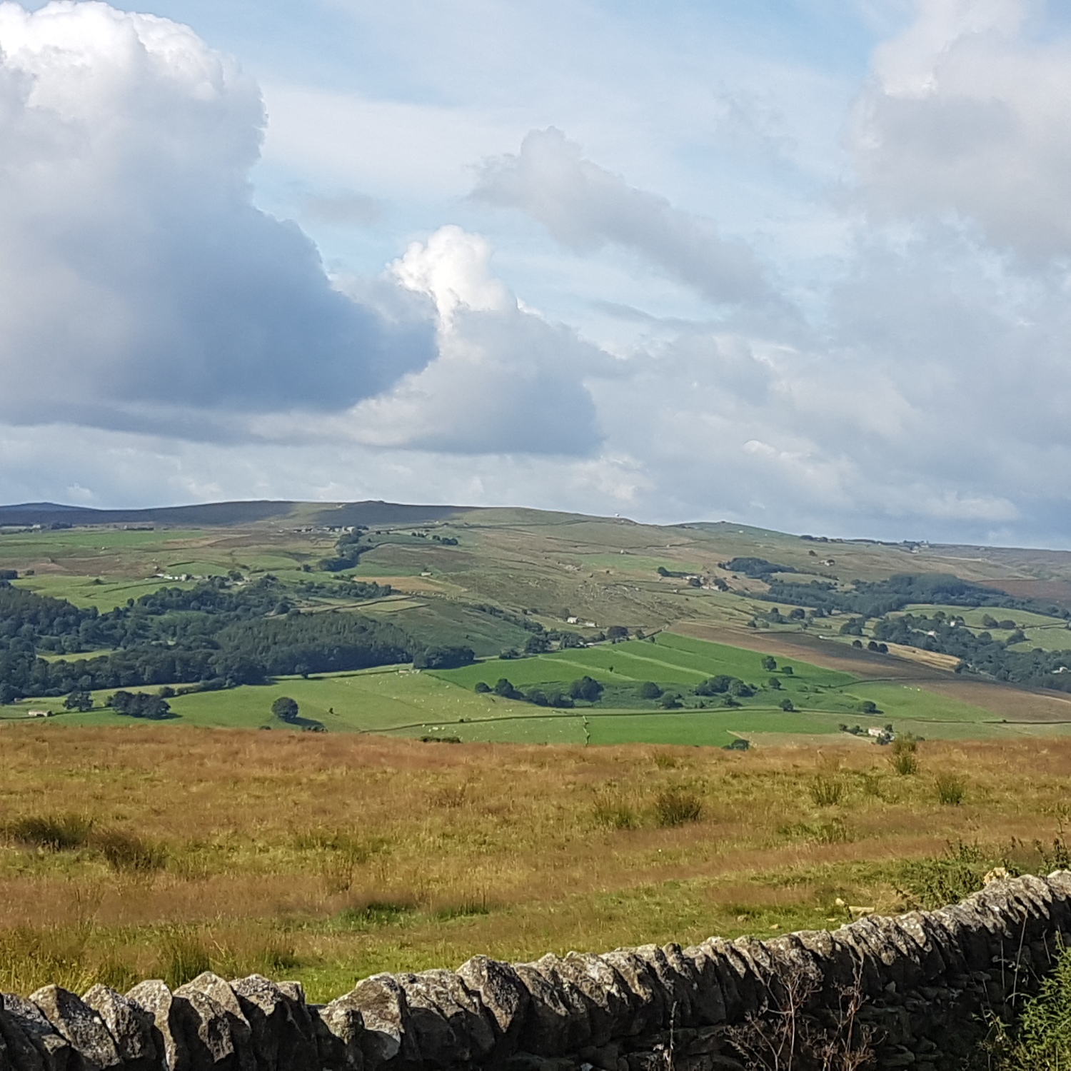 Nidderdale